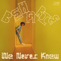 Beharie - We Never Knew