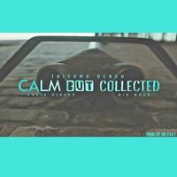 Taiyamo Denku - Calm but Collected