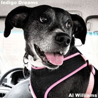Al Williams - Indigo Dreams