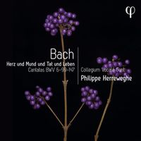 Collegium Vocale Gent and Philippe Herreweghe - Herz und Mund und Tat und Leben - Bach: Cantatas BWV 6-99-147