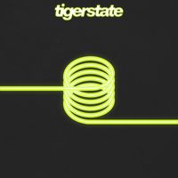 tigerstate - It Goes Around (Explicit)