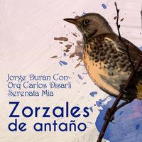 Jorge Durán - Zorzales de Antaño - Jorge Duran Con Orquesta Carlos Disarli - Serenata Mia
