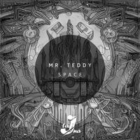 Mr. Teddy - Space