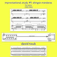 david toub - improvisational study #1: shingon mandaras (1981​-​1982)