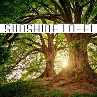 Roberto Milani - Sunshine Lo-Fi