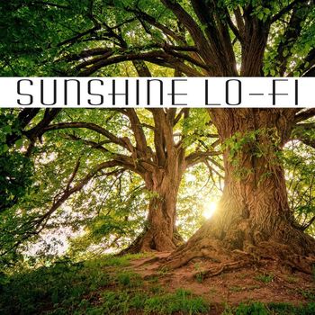Roberto Milani - Sunshine Lo-Fi