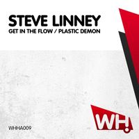 Steve Linney - Get In The Flow / Plastic Demon
