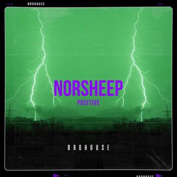 Norsheep - Positive