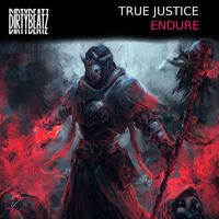 True Justice - Endure