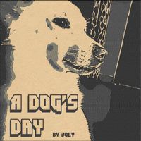 Joey - A Dog's day