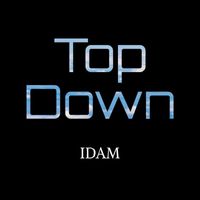 IDAM - Top Down