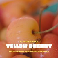 Alison Marks - Yellow Cherry