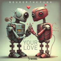Bourer The Funk - Your Love