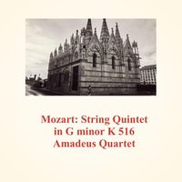 Amadeus Quartet - Mozart: String Quintet in G Minor K 516