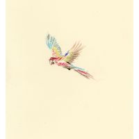 Tori Freestone & Alcyona Mick - Birds of Paradise