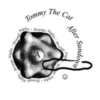 Tommy the Cat - After Sundown