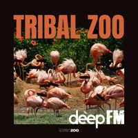 Deep FM - Tribal Zoo
