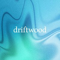 driftwood - corona del mar (ocean)