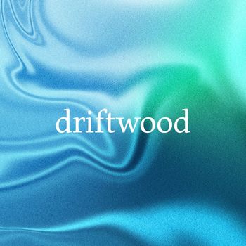 driftwood - monterey (ocean)