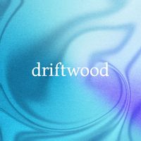 driftwood - newport (ocean)