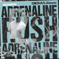 Sigma - Adrenaline Rush (Acoustic)