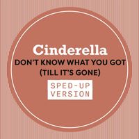 Cinderella - Don't Know What You Got (Till It's Gone) (Sped Up)