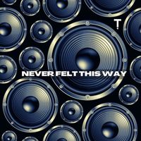 Troyboi - Never Felt This Way (Explicit)