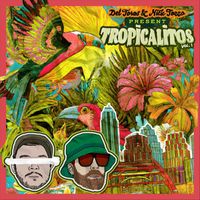 Del Toros & Nick Tozzo - Tropicalitos Vol. 1