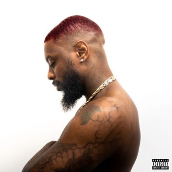 ANoyd - OXBLOOD (Explicit)