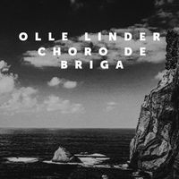 Olle Linder - Choro de briga