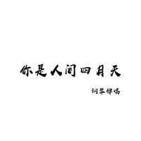 邵帅 - 你是人间四月天 (钢琴弹唱版)