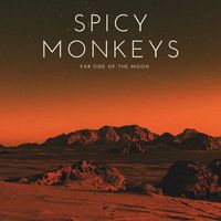 Spicy Monkeys - Far Side Of The Moon