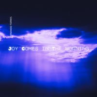 Fernando Torres - Joy Comes in the Morning
