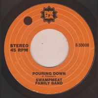 Swampmeat Family Band - Pouring Down