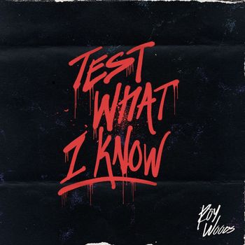Roy Woods - Test What I Know