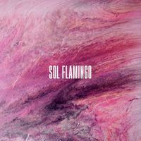 Sol Flamingo - Sol Flamingo