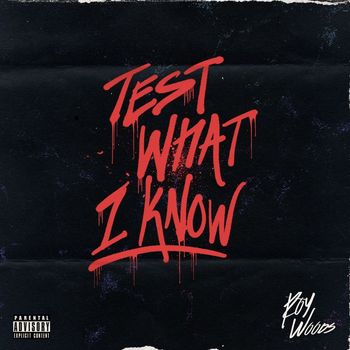 Roy Woods - Test What I Know (Explicit)
