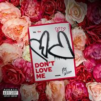 Roy Woods - Don't Love Me (Explicit)