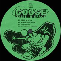 Goose - Oasis In Space