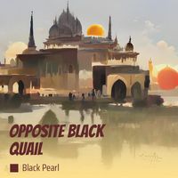 Black Pearl - Opposite Black Quail