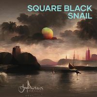 Black Pearl - Square Black Snail