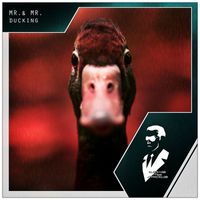 Mr. & Mr. - Ducking