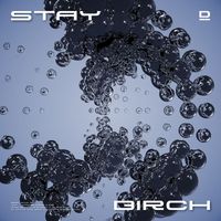 Birch - Stay