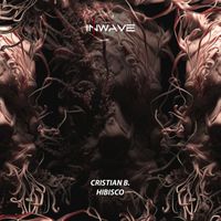 Cristian B - Hibisco
