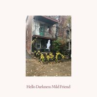 David Shaw - Hello Darkness Mild Friend
