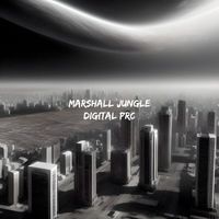 Marshall Jungle - Digital Prc