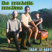 The Psychotic Reactions - Take It Easy