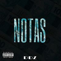 DDZ - Notas
