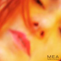 MEA - Fly Me to the Moon