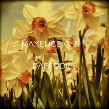 Maxence Cyrin - Daffodils